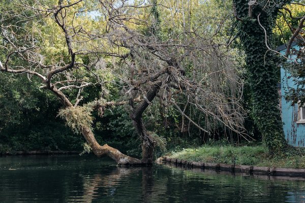 Les Pandémies Historiques de la Grippe : Leçons Cruciales et Apprentissages Retenus