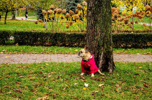 Eczéma et grossesse : Gérer pour deux
